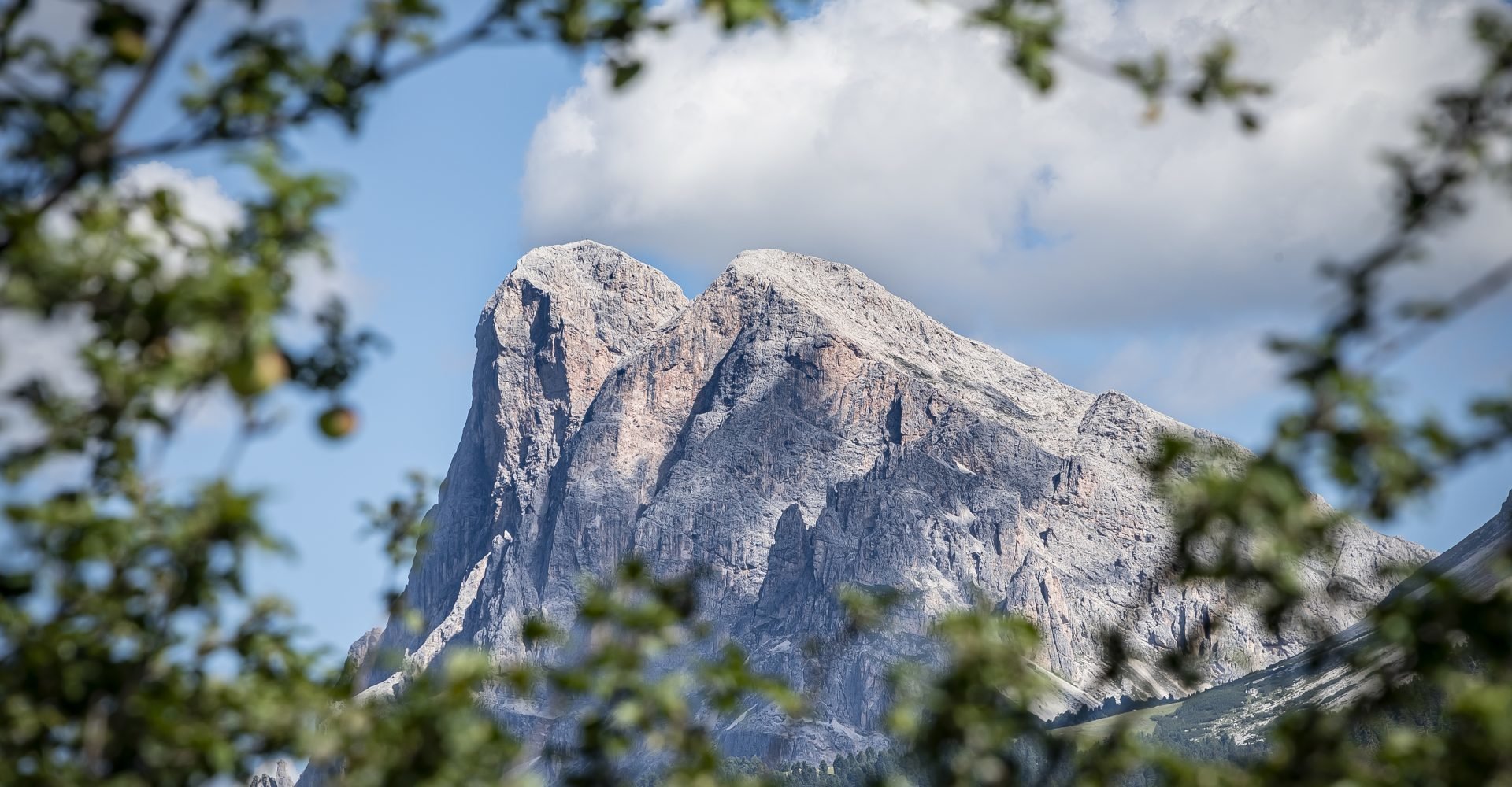 Hoferhof in Südtirol | Sommerurlaub auf der Plose im Eisacktal