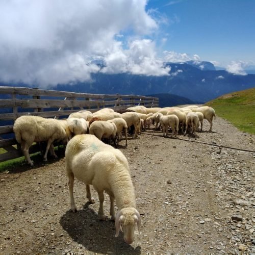 Impressionen von „ban Hofa“ in Afers bei Brixen/Südtirol