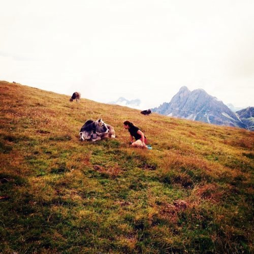 Impressionen von „ban Hofa“ in Afers bei Brixen/Südtirol