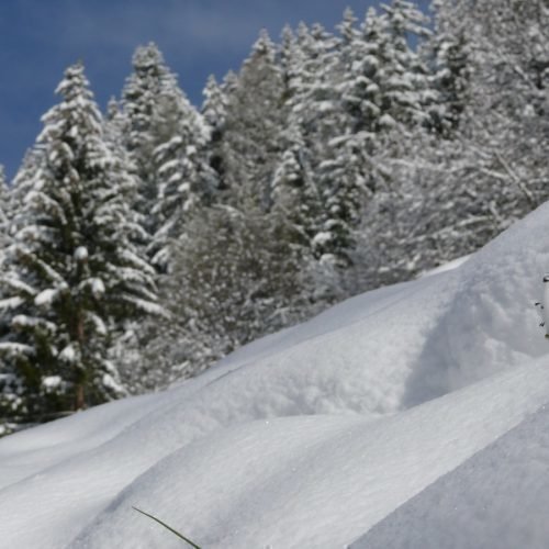 Impressionen von „ban Hofa“ in Afers bei Brixen/Südtirol