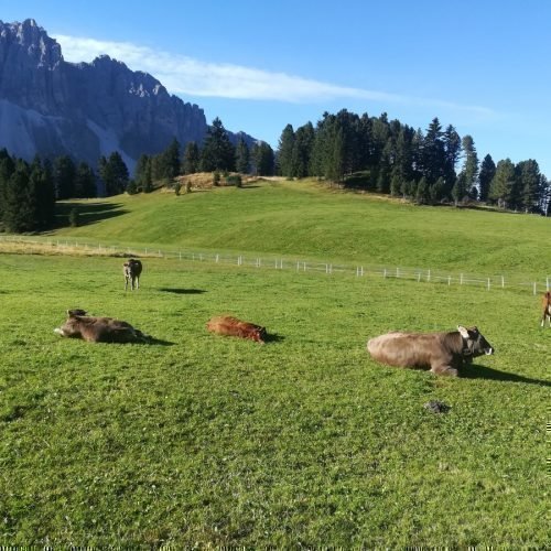 Impressionen von „ban Hofa“ in Afers bei Brixen/Südtirol